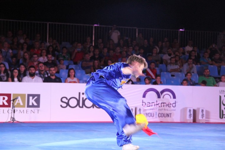 Martial Arts Festival